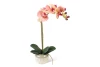 product-color-313070