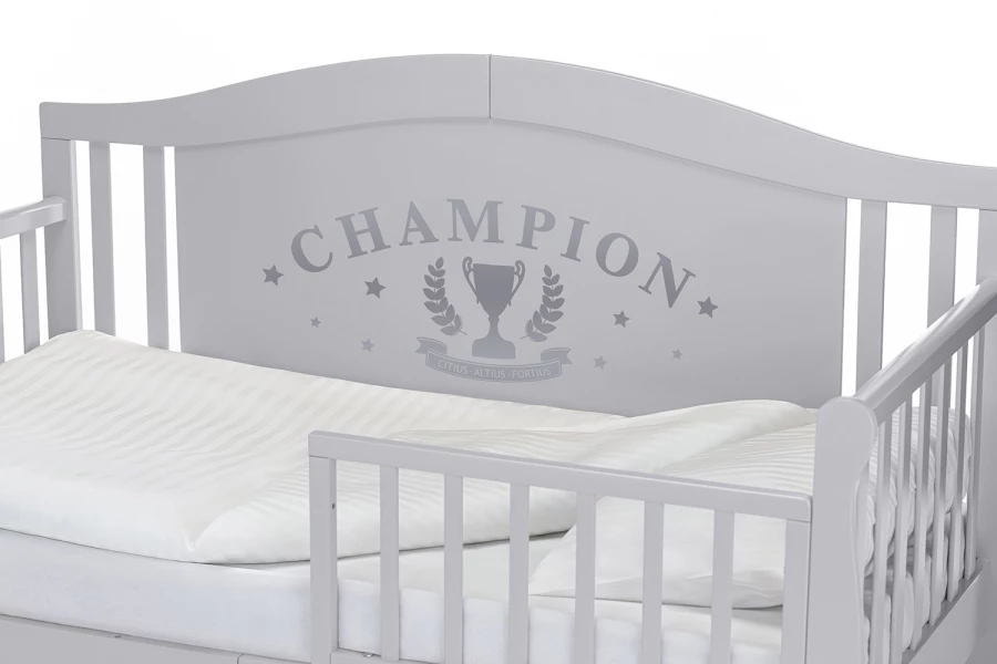 Кровать-диван детская Stanzione Verona Div Sport (изображение №8)