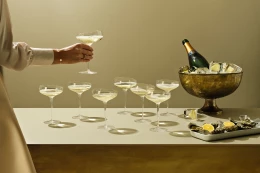 Бокал-креманка Eva solo Champagne Coupe
