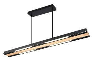 Люстра подвесная FAVOURITE Zebra