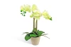 product-color-315147