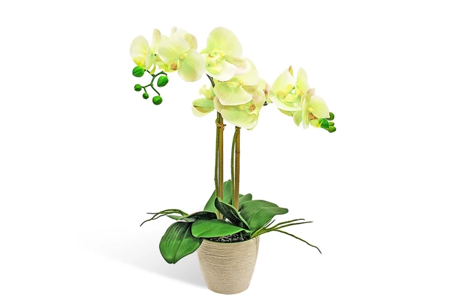 Искусственное растение в кашпо Орхидея Фаленопсис (изображение №1)