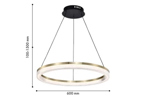 Второе фото. Люстра подвесная FAVOURITE Cirkler