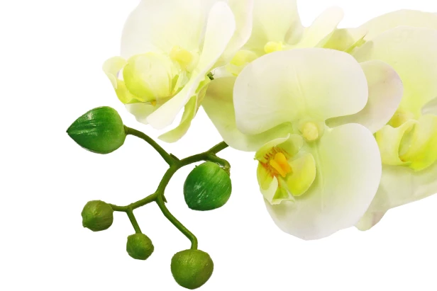 Искусственное растение в Кубе Орхидея Фаленопсис (изображение №2)
