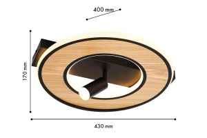 Второе фото. Светильник потолочный FAVOURITE Olika