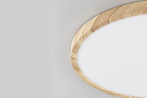 Второе фото. Светильник накладной LED Бейсик