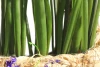 Искусственное растение в корзине-лукошко Подснежники (изображение №3)