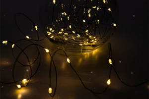 Электрогирлянда ФАZА DC-G06-120