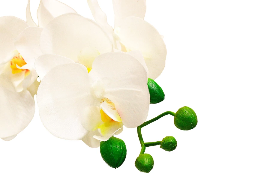 Искусственное растение в Кубе Орхидея Фаленопсис (изображение №4)