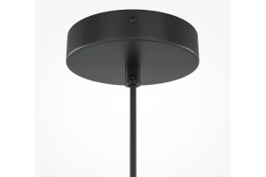 Второе фото. Светильник подвесной Modern Roots