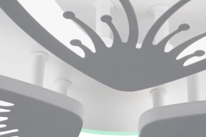 Второе фото. Светильник потолочный Arina