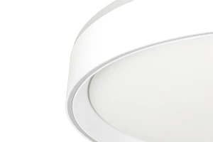 Второе фото. Светильник Boss