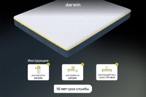 Второе фото. Матрас анатомический DARWIN Zone spring