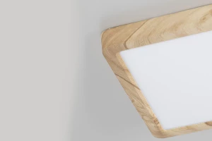 Второе фото. Светильник накладной LED Бейсик