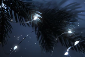 Комплект электрогирлянд ФАZА DC-G05-20WS