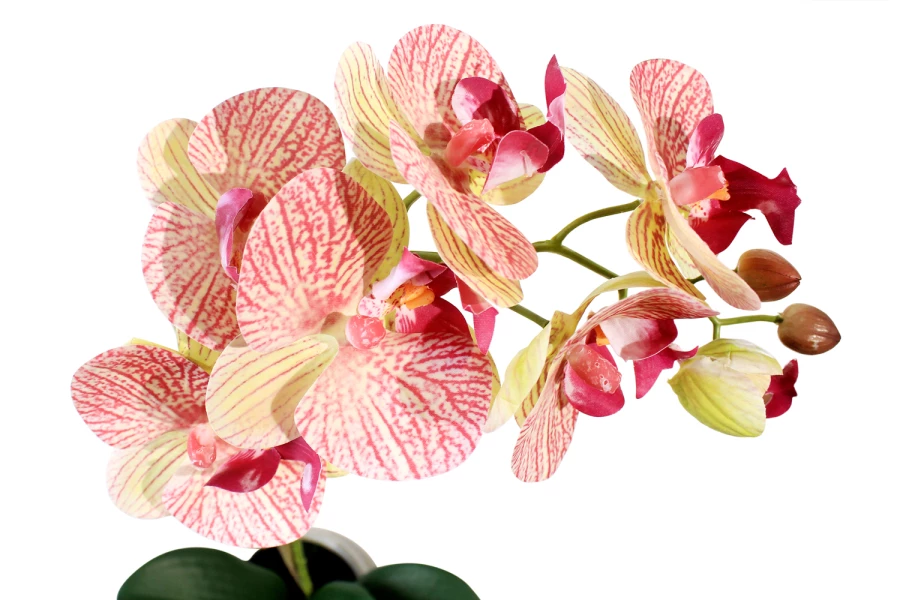 Искусственное растение в кашпо Орхидея Фаленопсис (изображение №2)