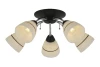 product-color-310778