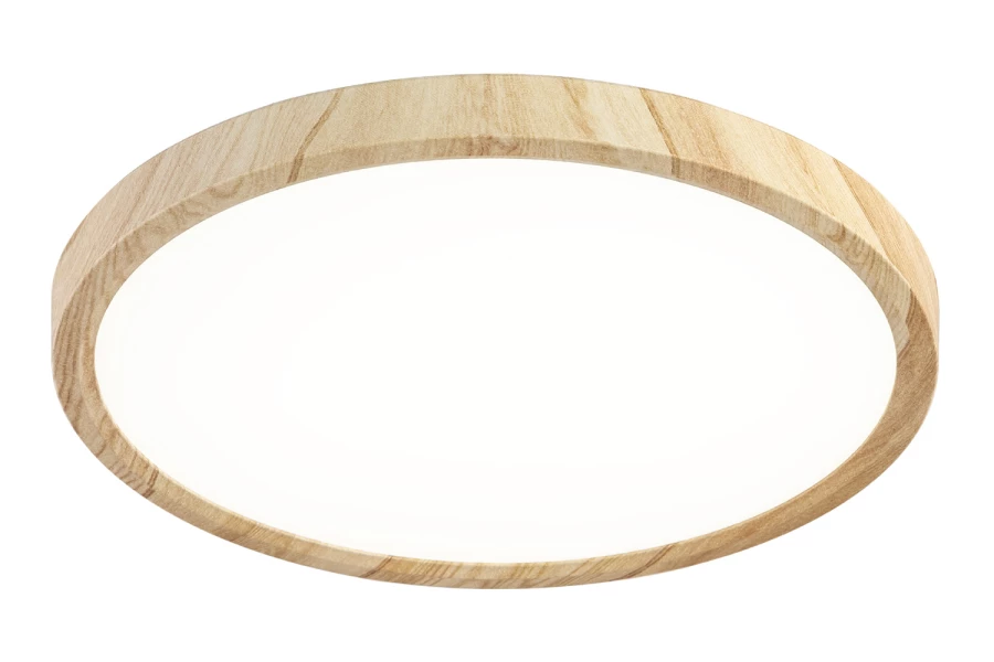 Светильник накладной LED Бейсик (изображение №1)