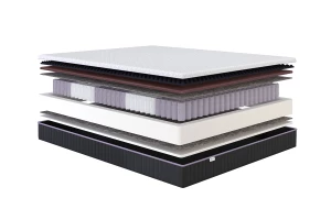 Матрас анатомический DARWIN Life Spring