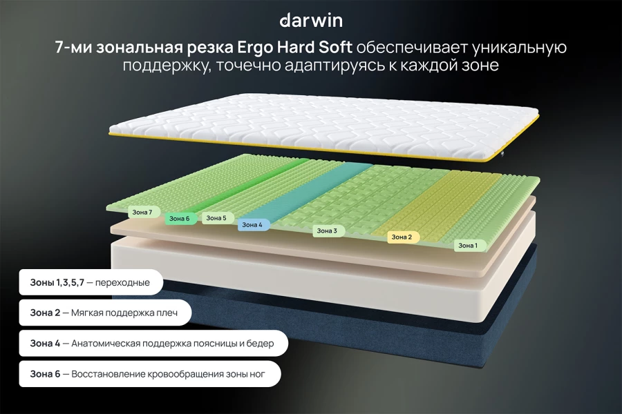 Матрас анатомический Zone foam (изображение №5)