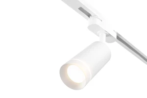 Светильник потолочный Glory