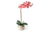 product-color-313068
