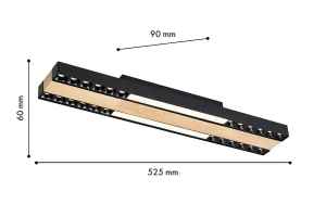 Второе фото. Светильник потолочный FAVOURITE Zebra