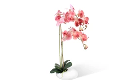 Искусственное растение в кашпо Камень Орхидея Фаленопсис
