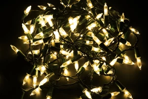 Электрогирлянда ILDES100WW-C