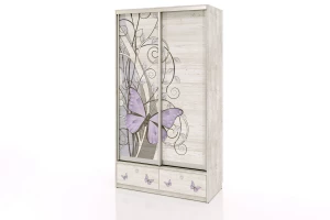 Шкаф-купе 2-дверный Леди