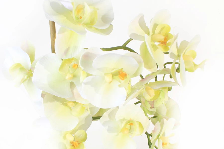 Искусственное растение в кашпо Камень Орхидея Фаленопсис (изображение №2)
