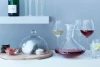 Набор бокалов для белого вина LSA International Aurelia (изображение №2)