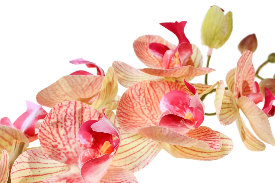 Искусственное растение в кашпо Орхидея Фаленопсис (изображение №2)