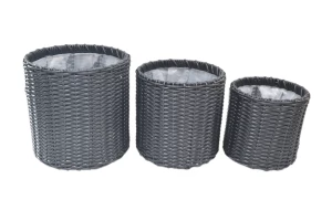 Сет из кашпо Карантус