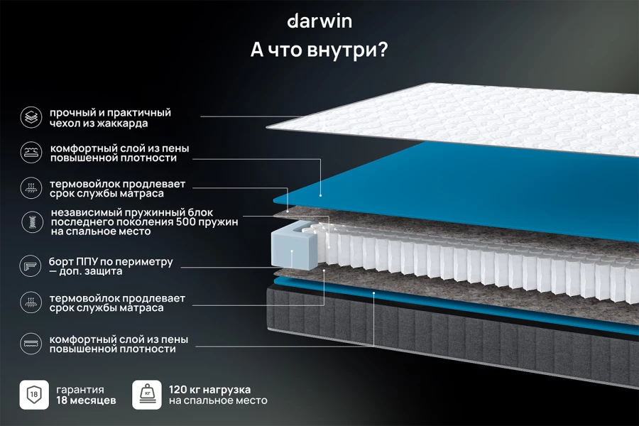 Матрас анатомический DARWIN Basic (изображение №3)