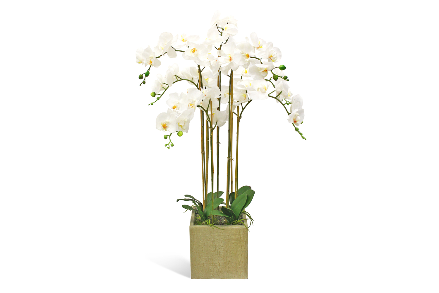 Искусственное растение в кашпо Куб Орхидея Фаленопсис