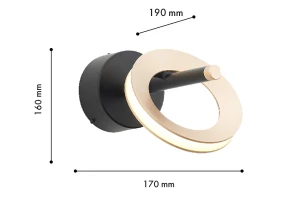 Второе фото. Светильник настенный FAVOURITE Jongleur