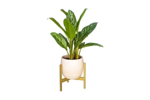 Подставка для комнатных растений Trinity