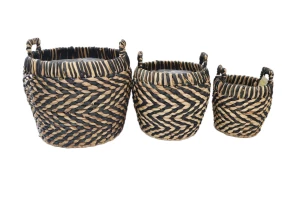 Сет из кашпо Аспарагус