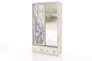 Шкаф-купе 2-дверный Леди