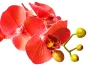 Искусственное растение в Кубе Орхидея Фаленопсис (изображение №4)