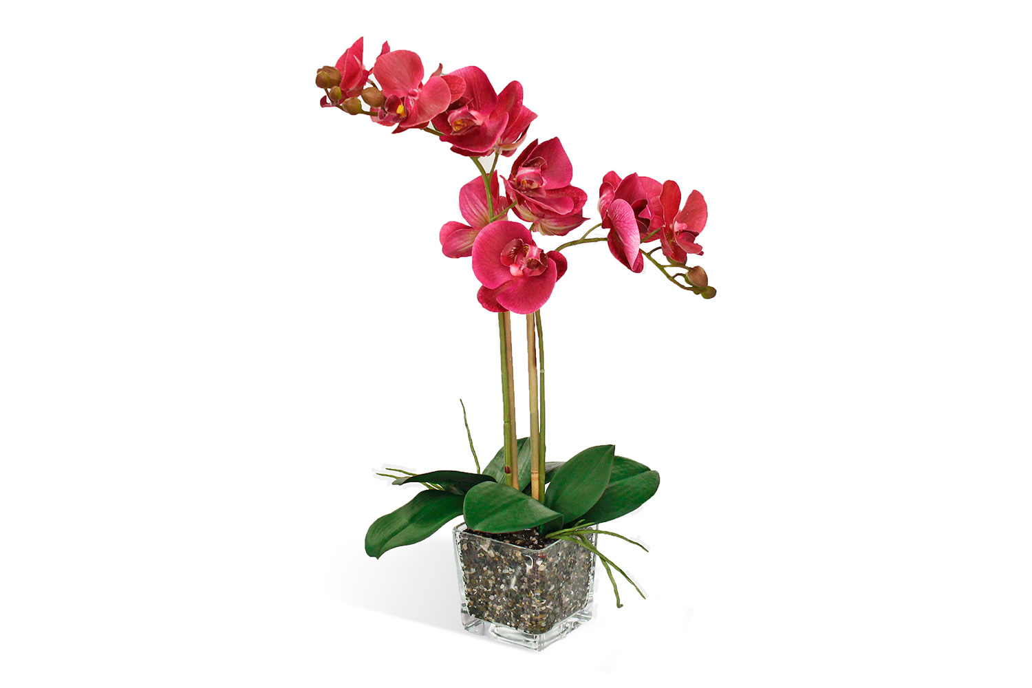 Искусственное растение в Кубе Орхидея Фаленопсис