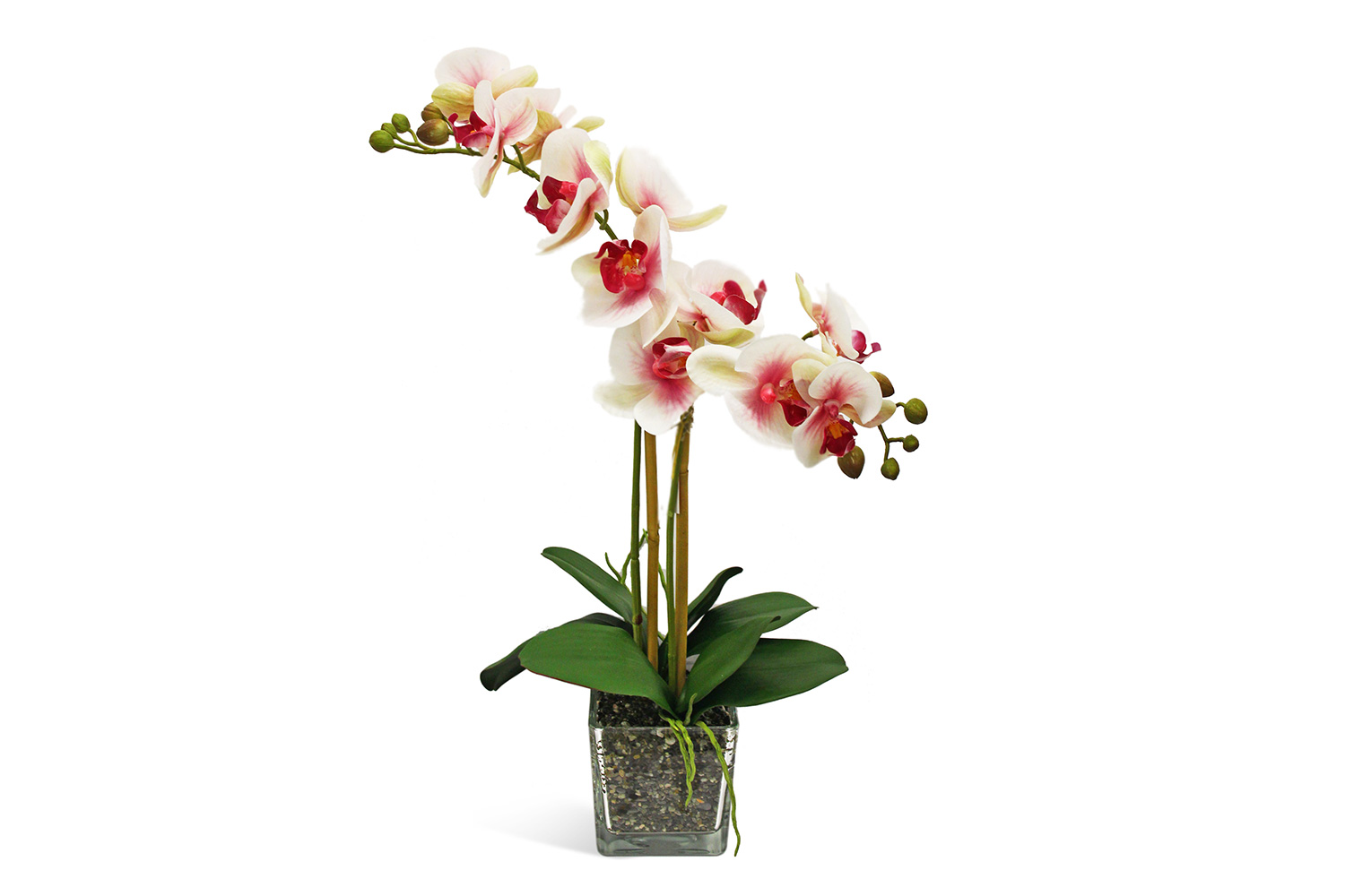 Искусственное растение в Кубе Орхидея Фаленопсис
