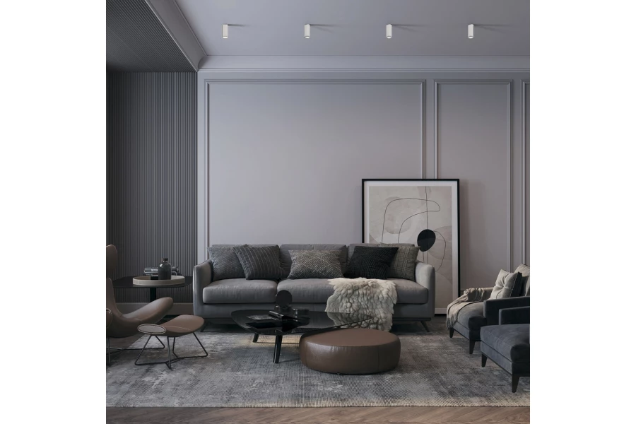 Светильник потолочный MAYTONI Ceiling & Wall Sonas (изображение №2)