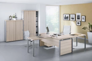 Второе фото. Шкаф-купе Flash