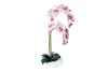 product-color-315128
