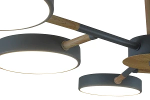 Второе фото. Светильник потолочный Scandi