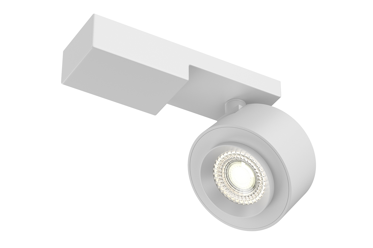Светильник потолочный MAYTONI Ceiling & Wall Treo