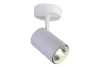 product-color-314205