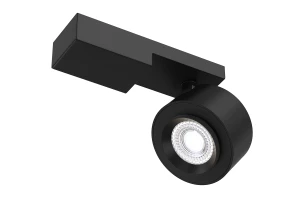 Светильник потолочный MAYTONI Ceiling & Wall Treo